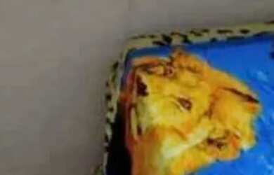 Imagem 3: Quartos em Colombo perto do Terminal Maracanã