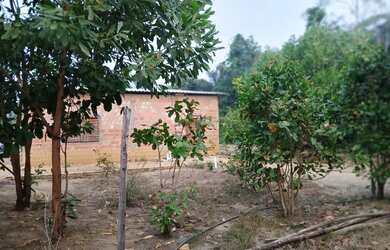 Imagem 3: Vendo terreno. 1.000m² de Área