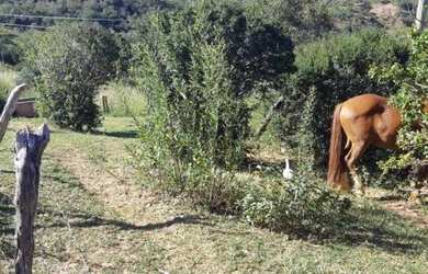 Imagem 5: Fazenda para Venda em Senador Mourão Diamantina , Diamantina