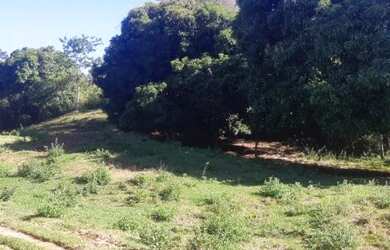 Imagem 16: Fazenda para Venda em Senador Mourão Diamantina , Diamantina