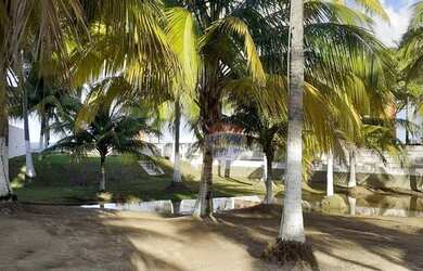 Imagem 7: Terreno à venda, 2779 m² por R$ 6.000.000,00 - Tamandaré - Tamandaré/PE