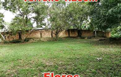 Imagem: O terreno possui 1.200m² de Área e está localizado em Flores