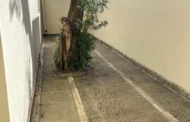 Imagem 6: excelente moradia. 245m² de Área, 2 Vagas na garageme3 Dormitórios