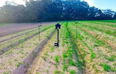 Imagem 16: Lote/Terreno para venda com 600 metros quadrados em Centro São João...