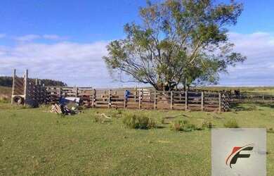 Imagem: A fazenda possui 1.180.000m² de Área e está localizado em