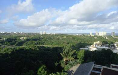 Imagem 13: Oportunidade no Greenville