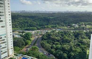 Imagem 10: Oportunidade no Greenville