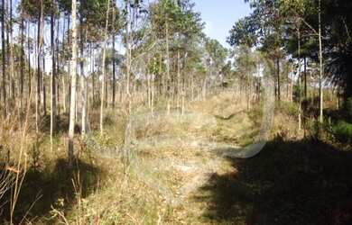 Imagem 13: Ótimo Lote/Terreno para venda tem 361538 m2 em Praia do Sol - Laguna...
