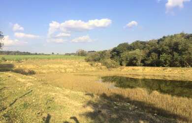 Imagem: A fazenda está localizado em Porto Feliz, SP à venda por R$550.000