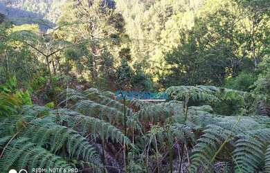 Imagem 11: Área à venda, 605000 m² por R$ 450.000,00 - Zona Rural - Itaperuçu/PR