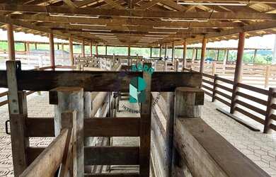 Imagem 13: Fazenda em Avelinópolis. Piscina, Churrasqueira, Ar-condicionadoe181m²...