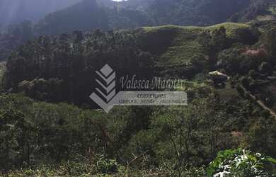 Imagem 8: Terreno no cascatinha. 