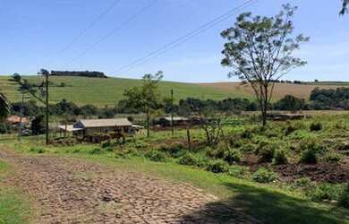 Imagem 5: Terreno Rural em Marialva