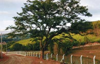Imagem 15: Lote/Terreno para venda com 600 metros quadrados em Jardim do Sul - Bragança Paulista - SP