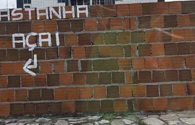 Imagem 4: Terreno 1100 m em Jardim Oceania - João Pessoa - Paraíba