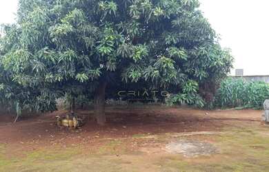 Imagem: O terreno possui 250m² de Área e está localizado em Jardim