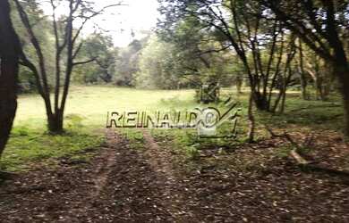 Imagem 12: Sítio com 2 dormitórios à venda, 69699 m² por R$ 1.000.000,00 - Bragança...