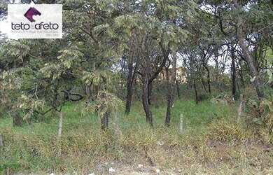 Imagem: O terreno possui 640m² de Área e está localizado em Jardim