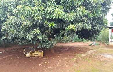 Imagem 7: Terreno à venda, 250 m² por R$ 90.000 - Jardim Flor de Liz - Anápolis/GO