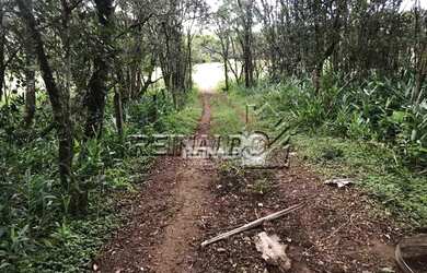 Imagem 6: Sítio com 2 dormitórios à venda, 69699 m² por R$ 1.000.000,00 - Bragança...