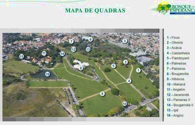 Imagem 3: Vendo jazigo Bosque da Esperança, local muito bonito, arborizado e ao lado do lago