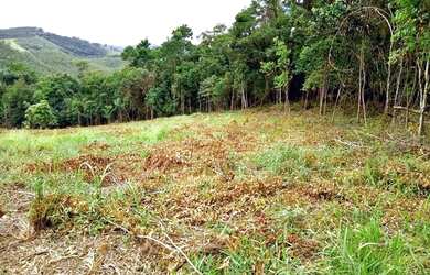 Imagem 10: VENDO TERRENO 1000M² NA BEIRA DO ASFALTO! BAIRRO ATIBAINHA( PIRACAIA