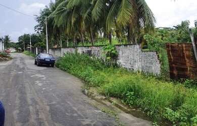 Imagem 3: Terrenoessejana. 1.650m² de Área