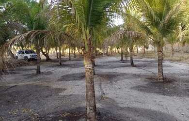 Imagem: A chácara possui 11.900m² de Área e está localizado em