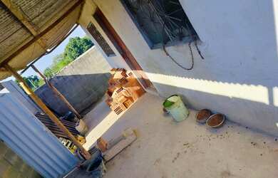 Imagem 10: Vendo lindo terreno todo murado de tijolo de bloco com frutas e com pequena...