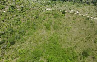 Imagem 7: Fazenda Mista em Conde -BA