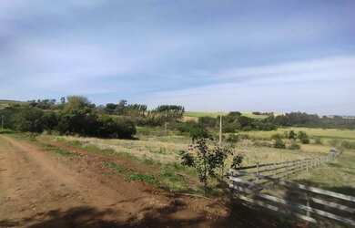 Imagem 5: Chácara 8.000m2 total,útil 3.000m2, Estrada São Domingos, R$ 350.000,00