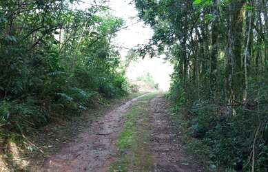Imagem 11: Terreno em Nova Petrópolis na Serra Gaúcha