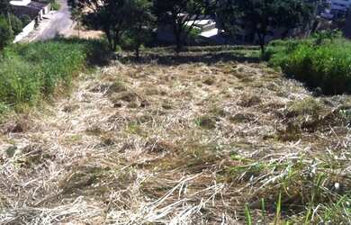 Imagem: O terreno possui 1019m² de Área e está localizado em Buritis