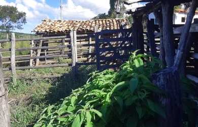 Imagem 12: Fazenda para Venda em Senador Mourão Diamantina , Diamantina