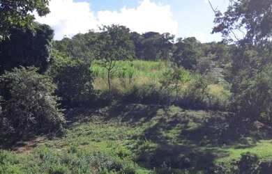 Imagem 10: Fazenda para Venda em Senador Mourão Diamantina , Diamantina