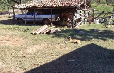 Imagem 3: Fazenda para Venda em Senador Mourão Diamantina , Diamantina