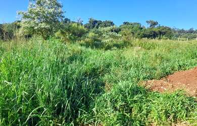 Imagem 5: Vendo lote. 1.000m² de Área