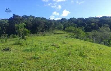 Imagem 4: Área Rural para Venda em Colônia Santana São José-SC - 352