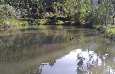 Imagem 5: Área Rural para Venda em Nova Trento / SC no bairro Serravel