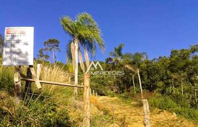 Imagem 5: Terreno à venda, 3733 m² por R$ 370.000,00 - Santa Lidia - Penha/SC