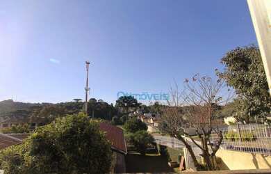 Imagem 8: Terreno à venda, 416 m² por R$ 650.000,00 - São Lourenço - Curitiba/PR