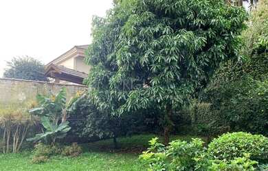 Imagem 4: Casa em Vila Assunção. Piscina, Churrasqueira, Área de serviçoe244m²...