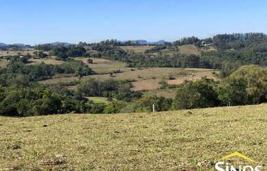 Imagem 10: Áreas de 01 ha com linda vista em Lomba Grande / Novo Hamburgo