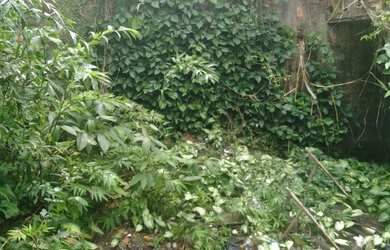 Imagem 3: Vendo casa Casa com 1 dormitório