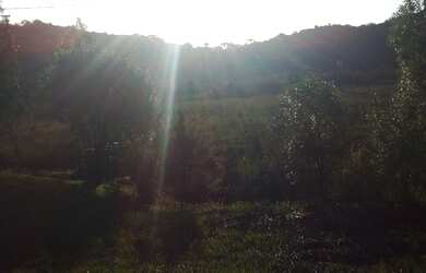 Imagem: A chácara possui 10m² de Área e está localizado em Borda