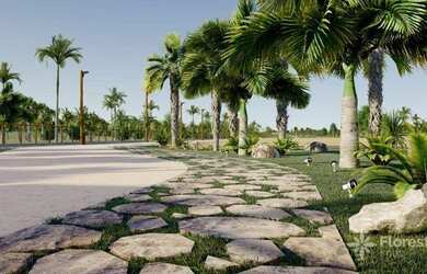 Imagem 7: Terreno à venda, 1080 m² por R$ 525.000,00 - Cairu - Morro de São Paulo/BA