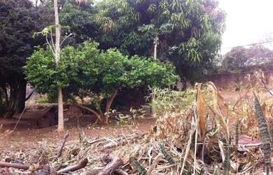 Imagem: O terreno possui 1.100m² de Área e está localizado em Bela