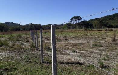 Imagem 6: Chácara Almirante Tamandaré Juruqui 5,5Km Santa Felicidade 23.000m²...