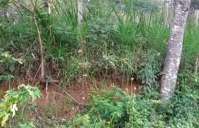 Imagem 6: Vendo lote maravilhoso por R$96.000,00 , com escritura e IPTU 2022 quitado