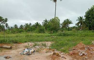 Imagem 7: 3 lotes a 300 metros da Praia do Toque em Sao Miguel dos Milagres